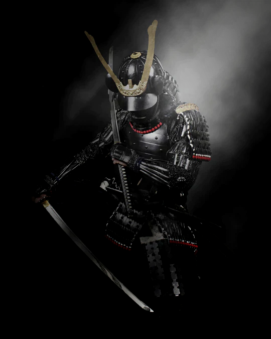 Samurai Cosplay